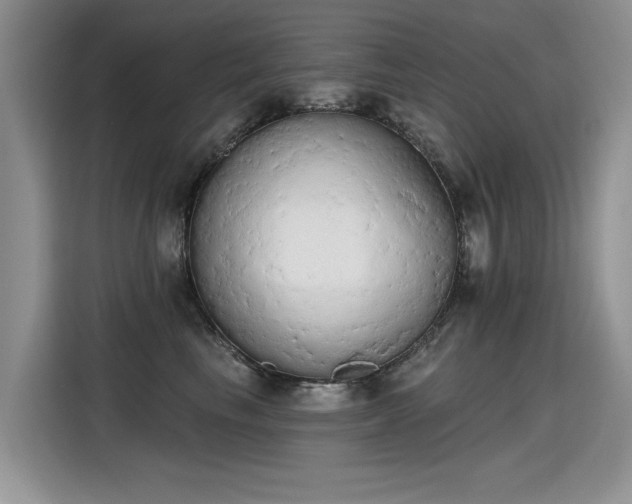 X0000115420665200911101632