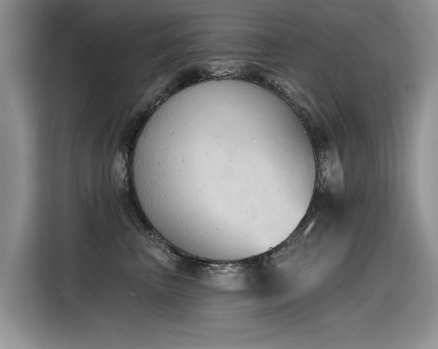X0000115420667200911101633