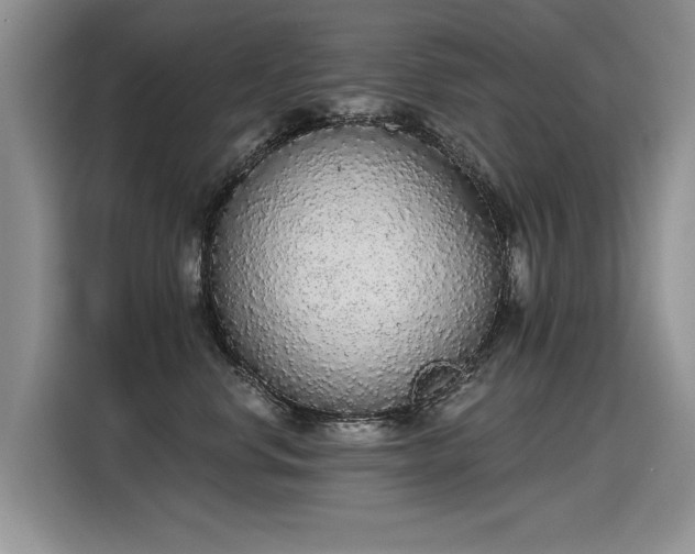X0000115420668200911101633