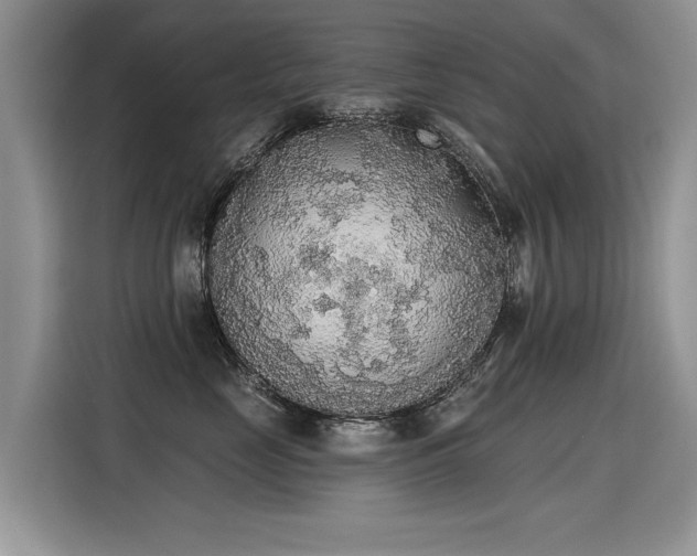 X0000115420669200911101633