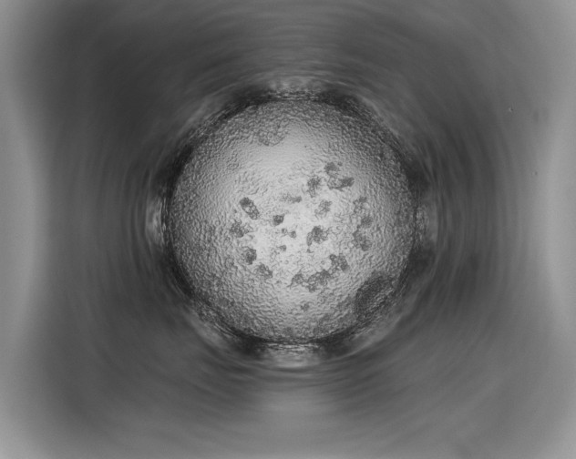 X0000115420671200911101633