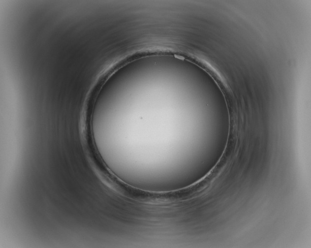 X0000115420677200911101632