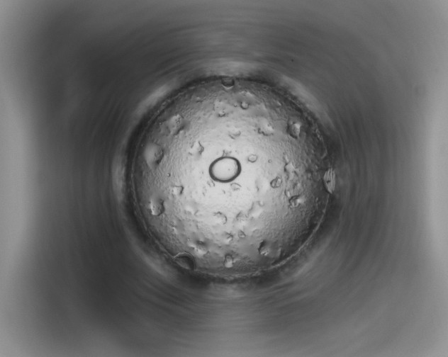 X0000115420679200911101632