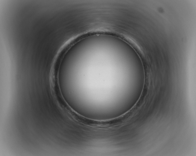 X0000115420680200911101632