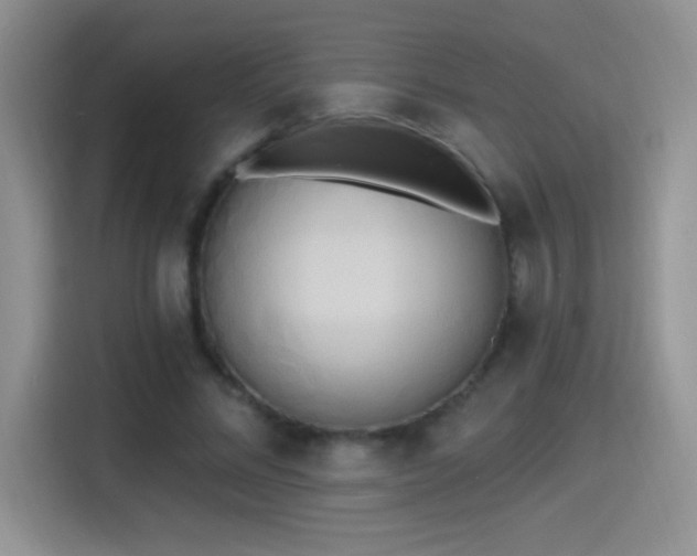 X0000115420684200911101632