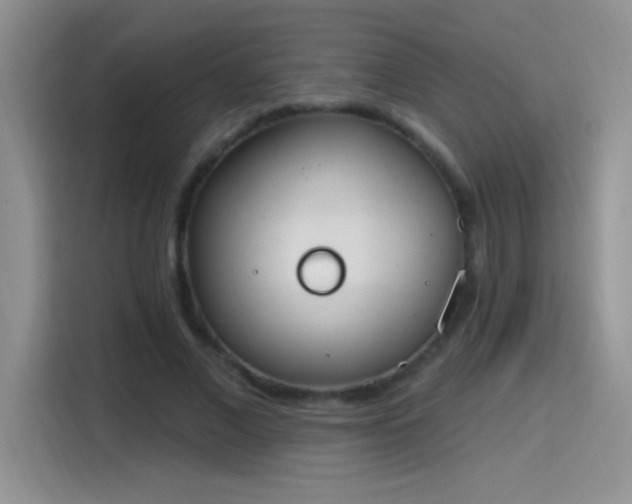 X0000115420685200911101632