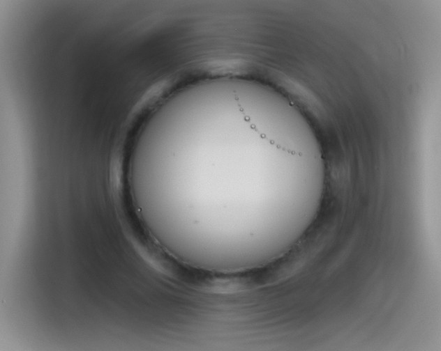 X0000115420686200911101632