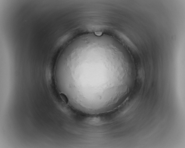 X0000115420687200911101632
