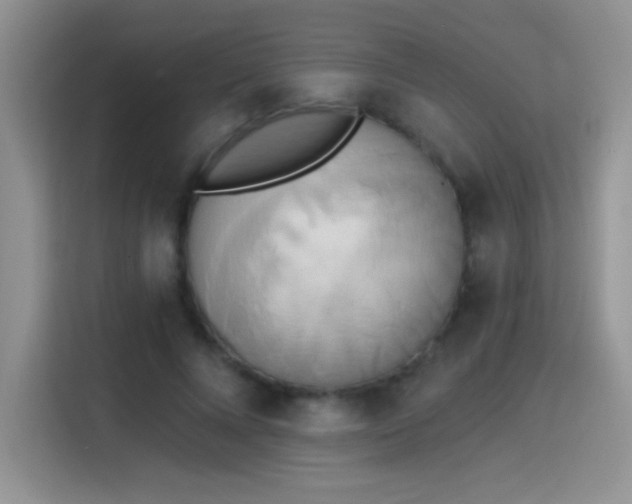 X0000115420688200911101632