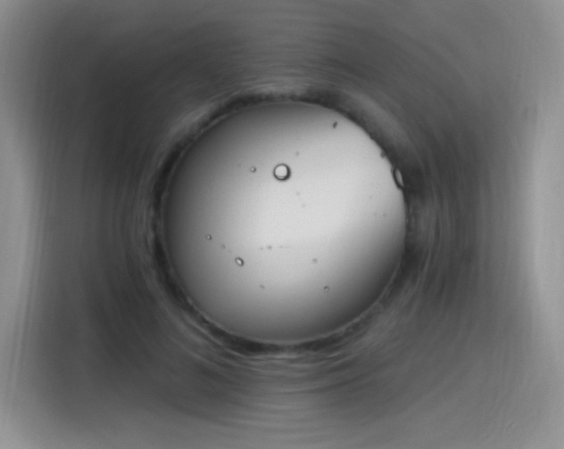 X0000115420692200911101632