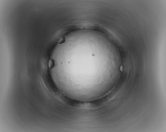 X0000115420695200911101632