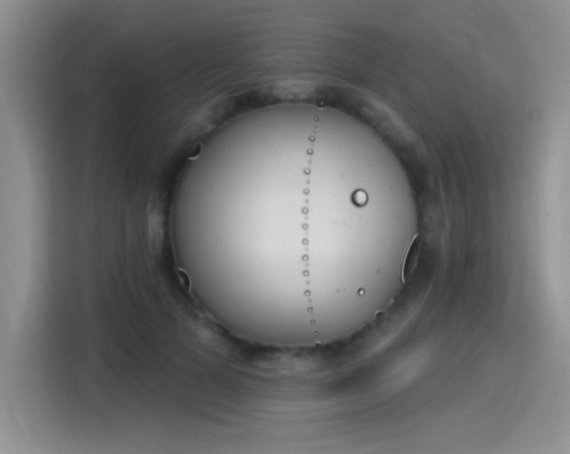 X0000115420697200911101632
