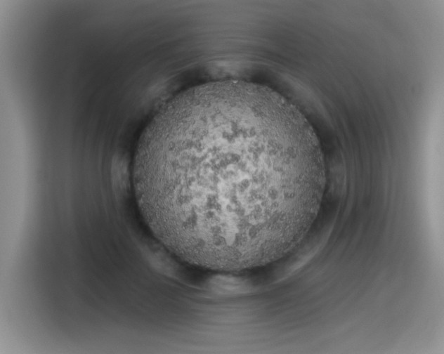 X0000115420699200911101632