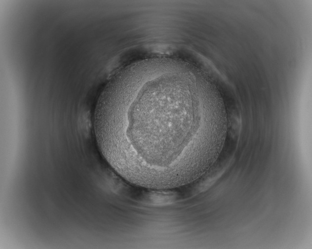X0000115420707200911101632