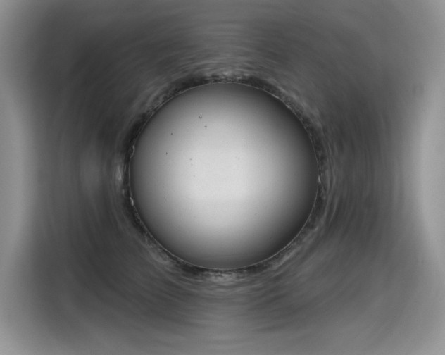 X0000115420709200911101631