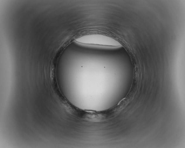 X0000115420712200911101631