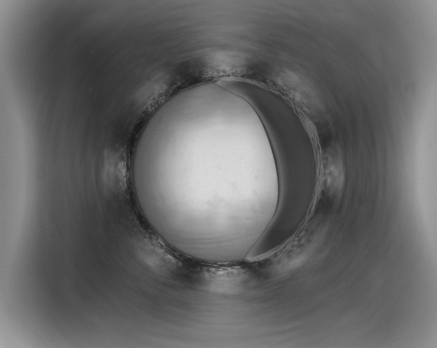 X0000115420716200911101631