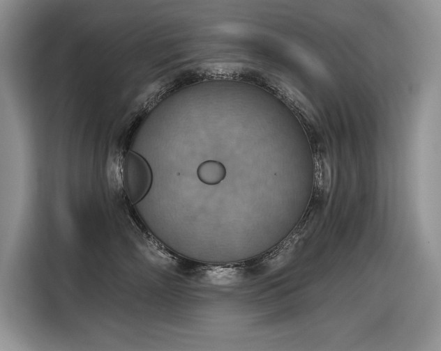 X0000115420718200911101631