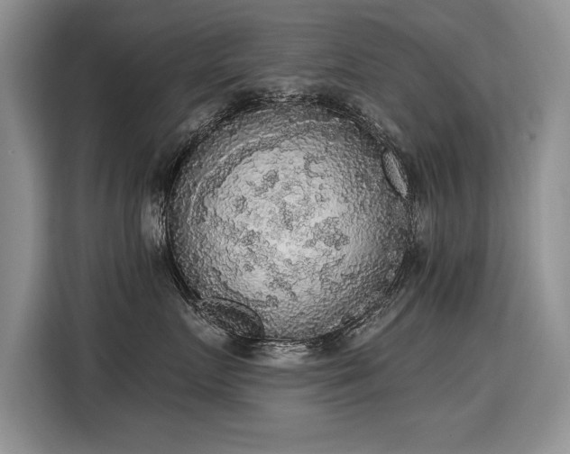 X0000115420719200911101631