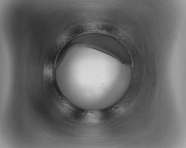 X0000115420720200911101631