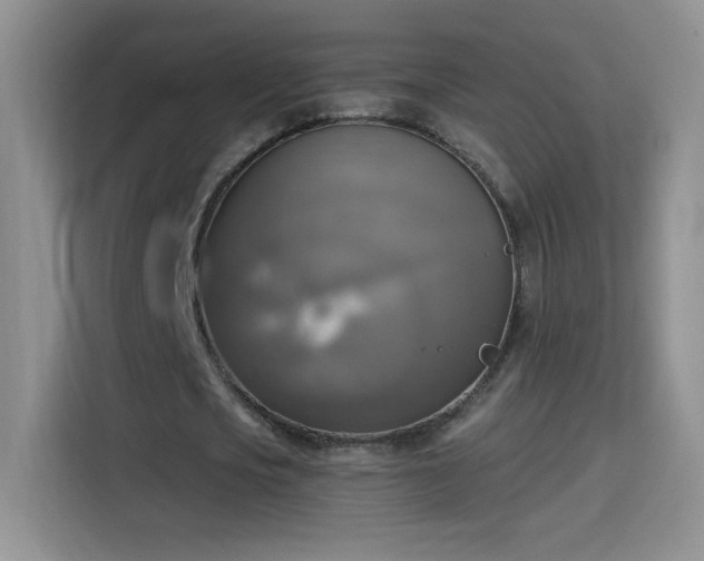 X0000115420721200911101631