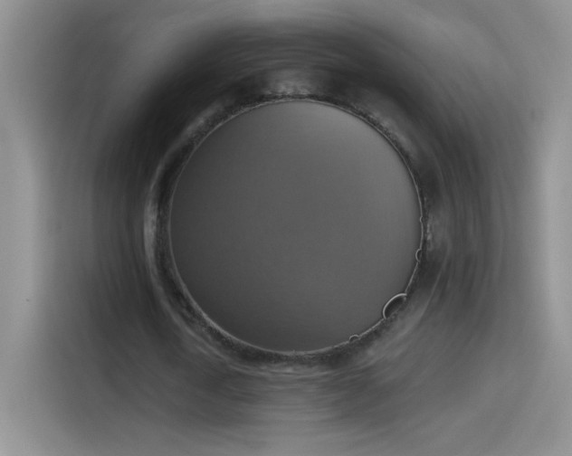 X0000115420722200911101631