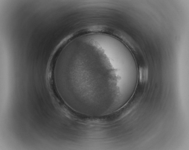 X0000115420723200911101631