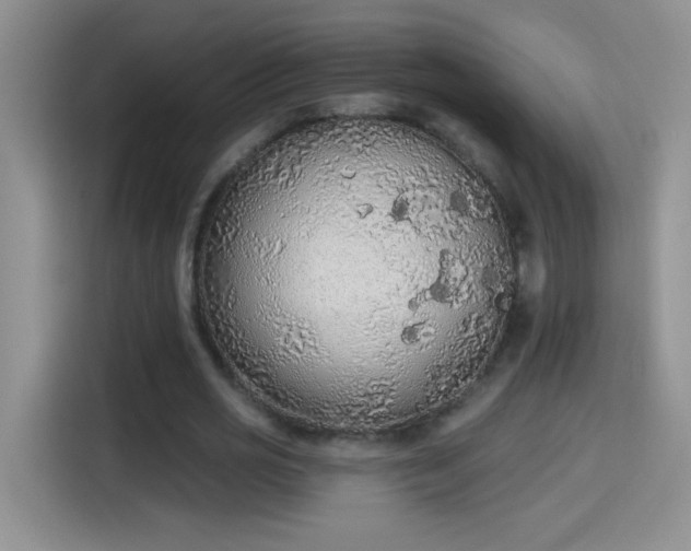 X0000115420725200911101631