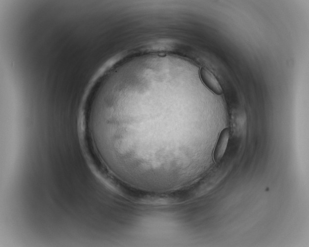 X0000115420726200911101631