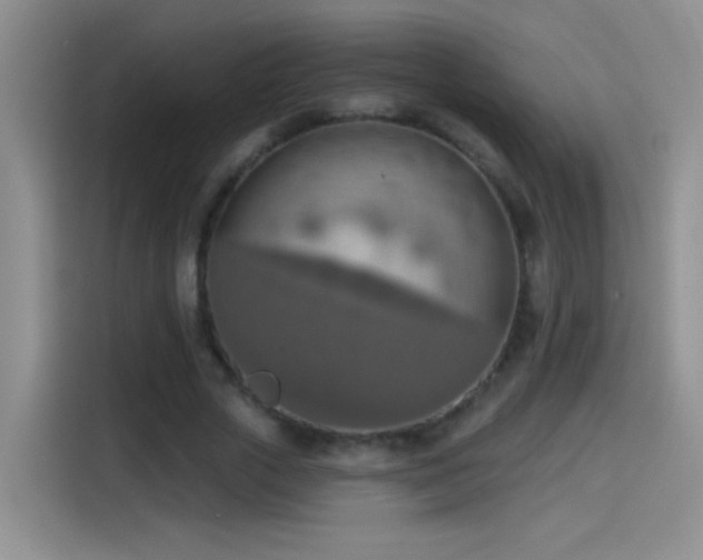 X0000115420729200911101631