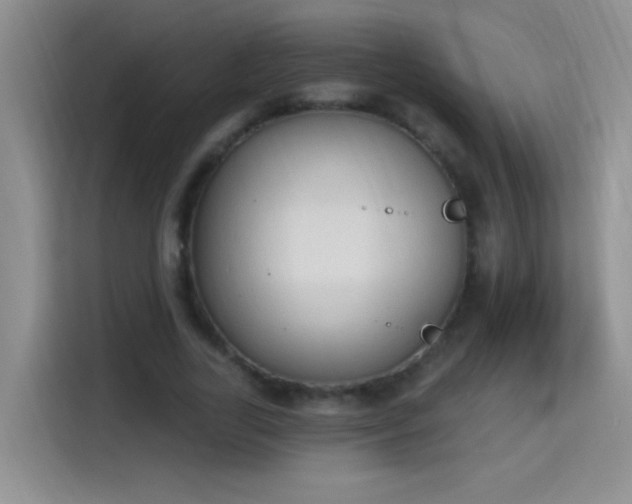 X0000115420731200911101631