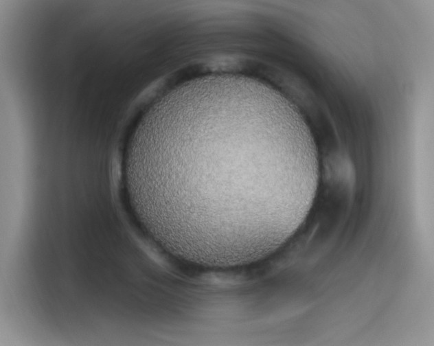 X0000115420733200911101631