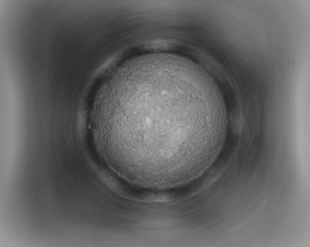 X0000115420735200911101631