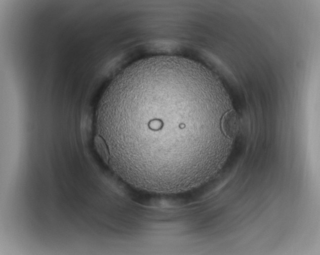 X0000115420739200911101631