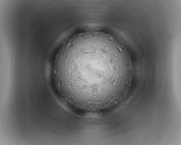 X0000115420742200911101631