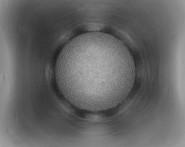 X0000115420743200911101631