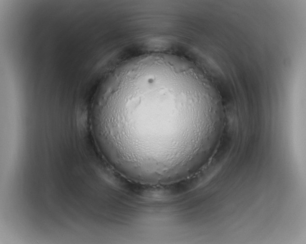 X0000115420745200911101631