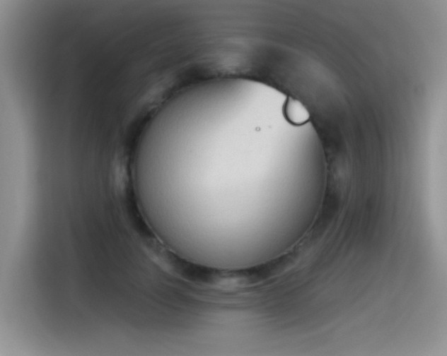 X0000115420746200911101631
