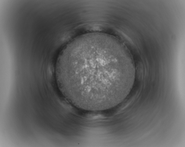 X0000115420747200911101631