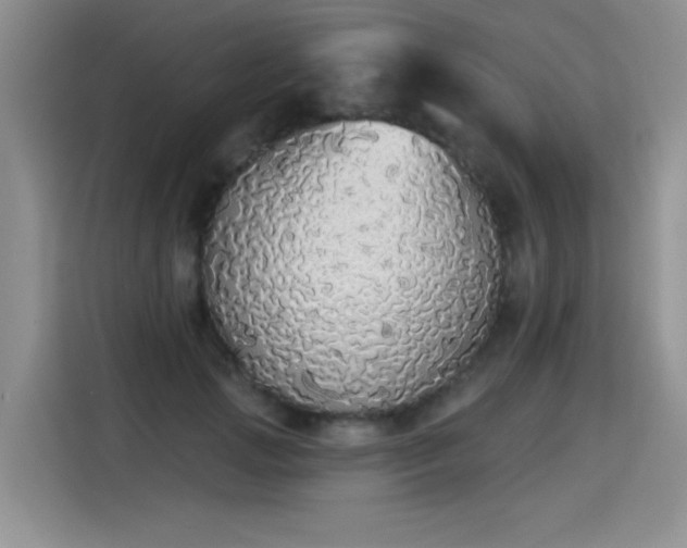 X0000115420749200911101631