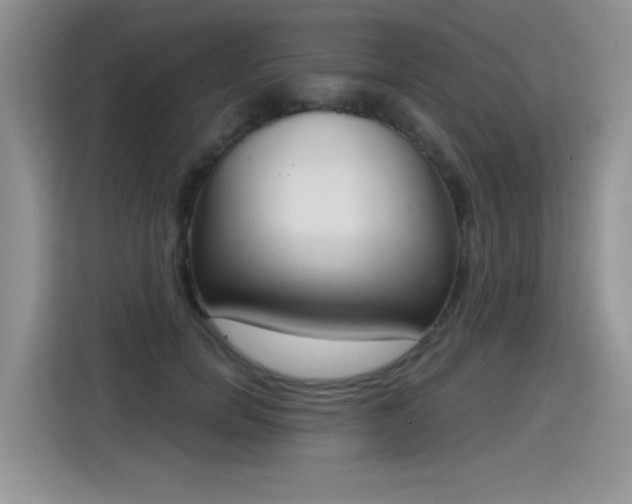 X0000115420750200911101631