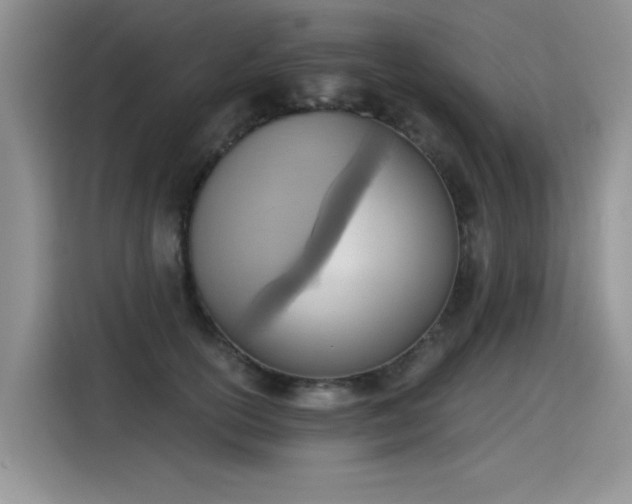 X0000115420754200911101631