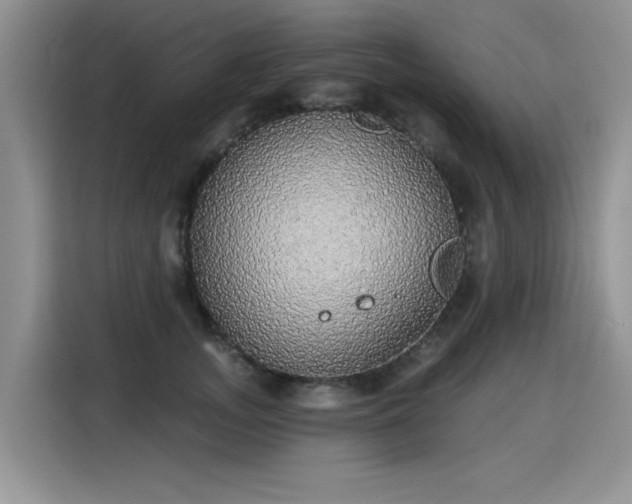 X0000115420755200911101631