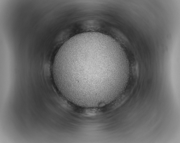 X0000115420757200911101631