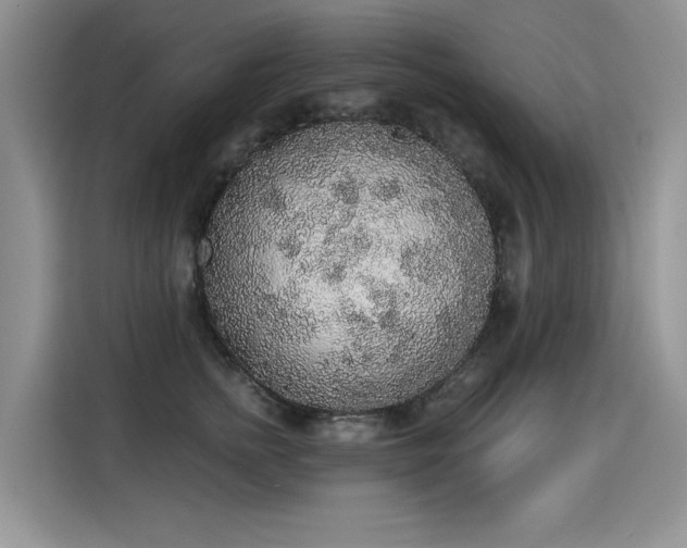 X0000115420758200911101631
