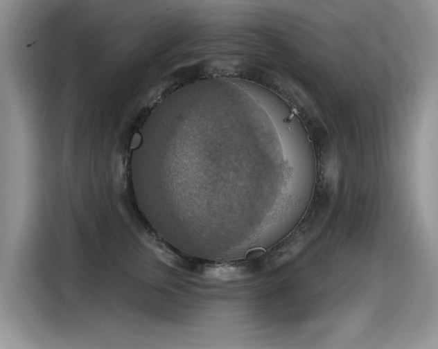 X0000115420759200911101631