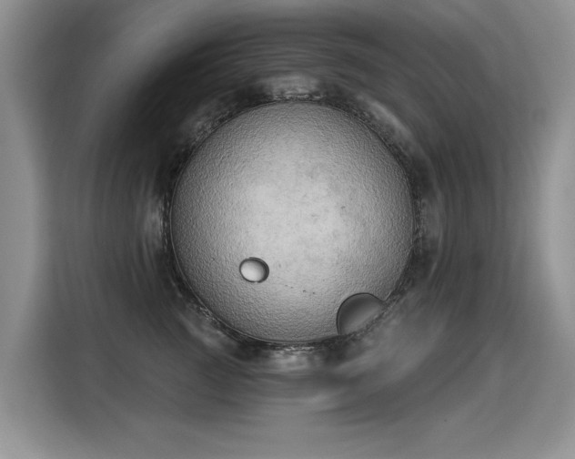X0000115420761200911101631