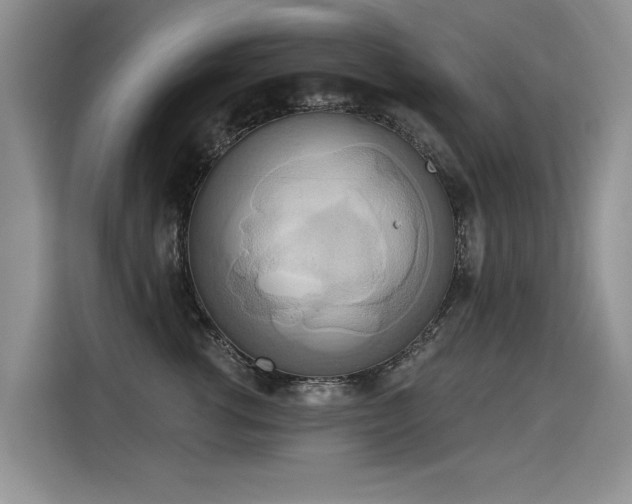 X0000115420762200911101631