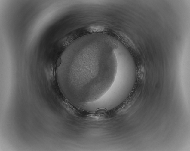 X0000115420763200911101631