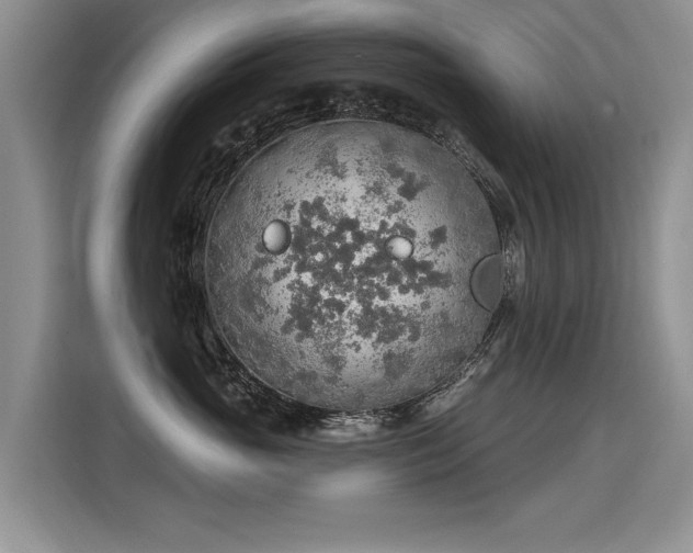 X0000115420765200911101631